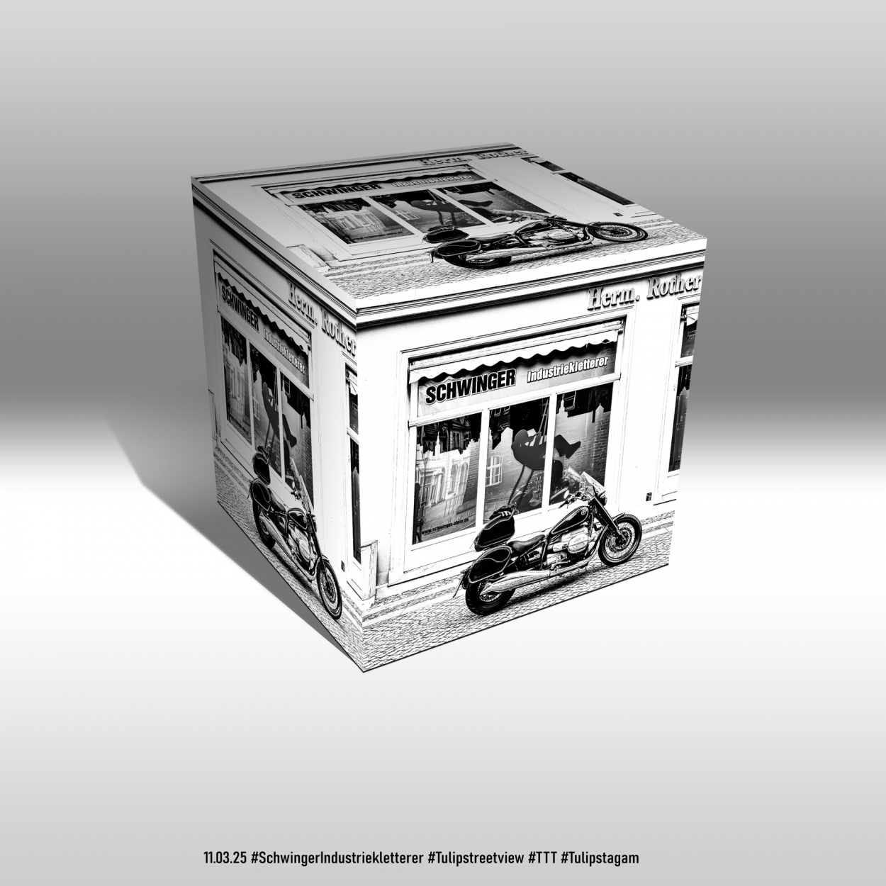 11.03.25 #SchwingerIndustriekletterer #PMRR18FE #Tulipstreetview #TTT #Tulipstagram - Serie